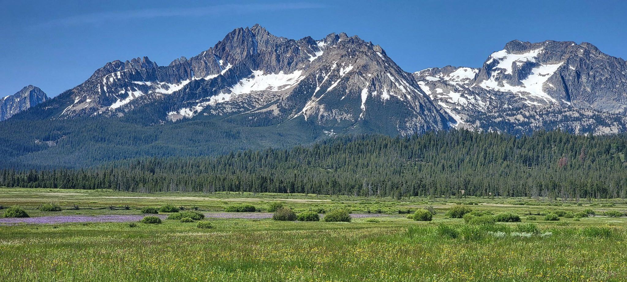 Snow-capped jagged peaks rising above green meadows in the Idaho high country